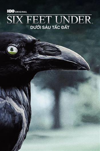 Dưới Sáu Tấc Đất Mùa 4