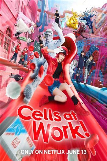 Khi Tế Bào Làm Việc - Cells At Work