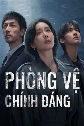 Watch Phòng Vệ Chính Đáng - Justifiable Defense